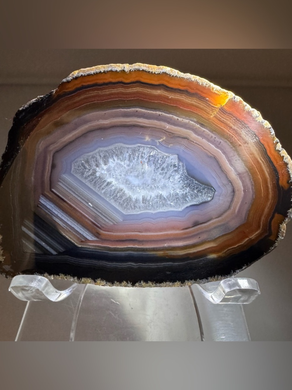 Polished Banded Agate Slice Geode Druzy Center Display Specimen